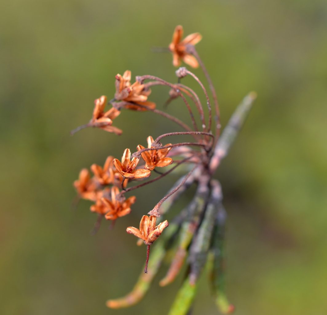 Valokuvaaja: Seija Annala