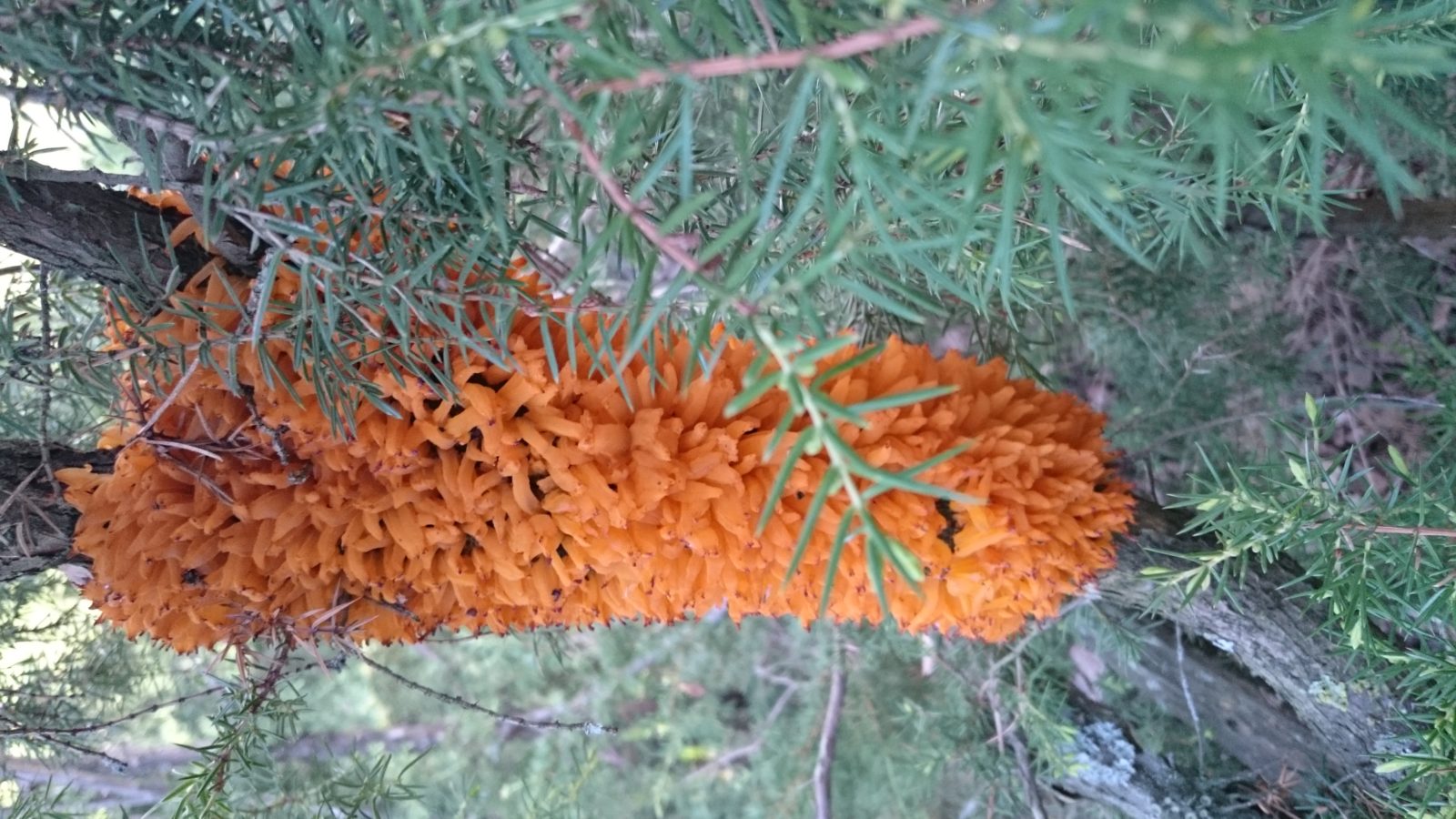 Valokuvaaja: Laura Orasmaa