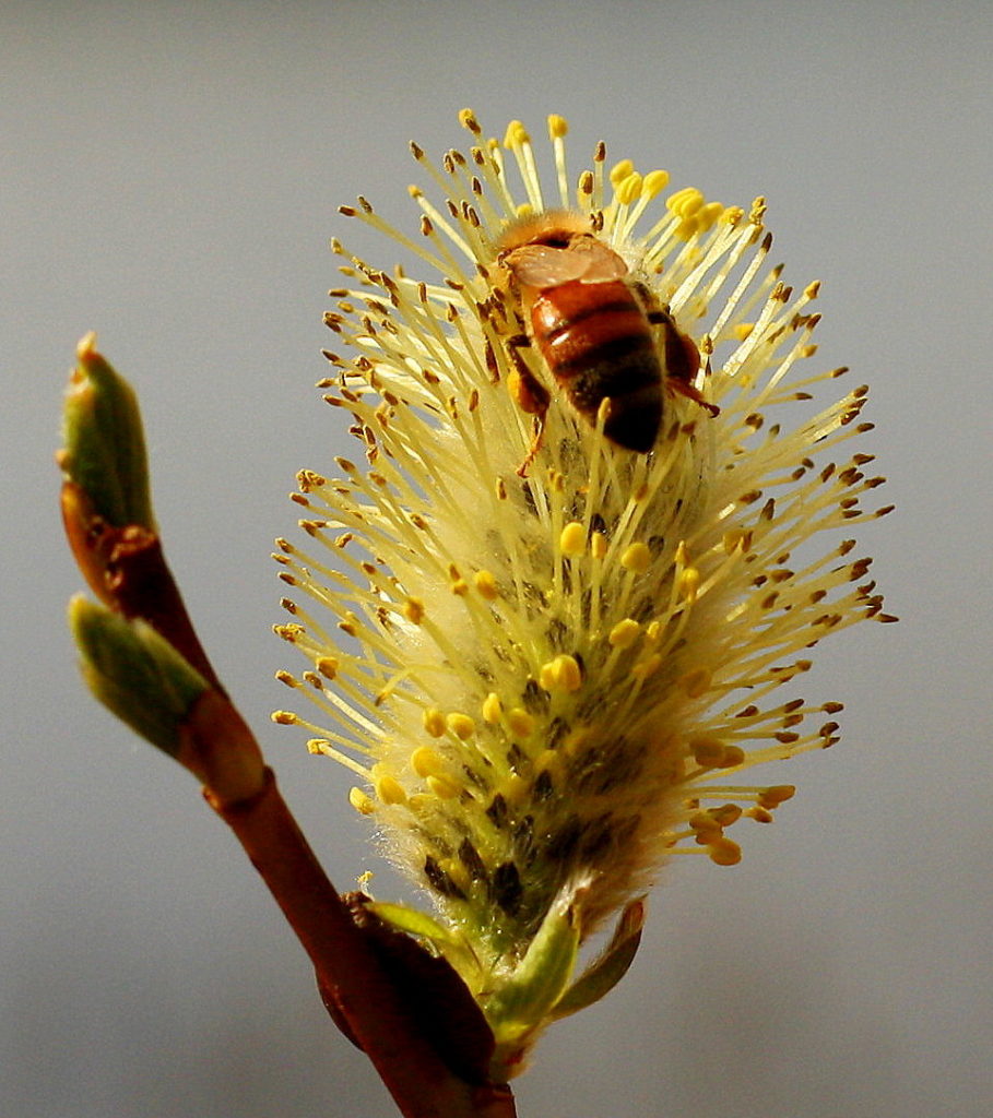 Valokuvaaja: Sirpa Jyske