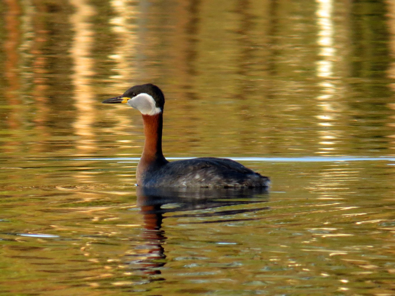 Valokuvaaja: Jaana Talvinen