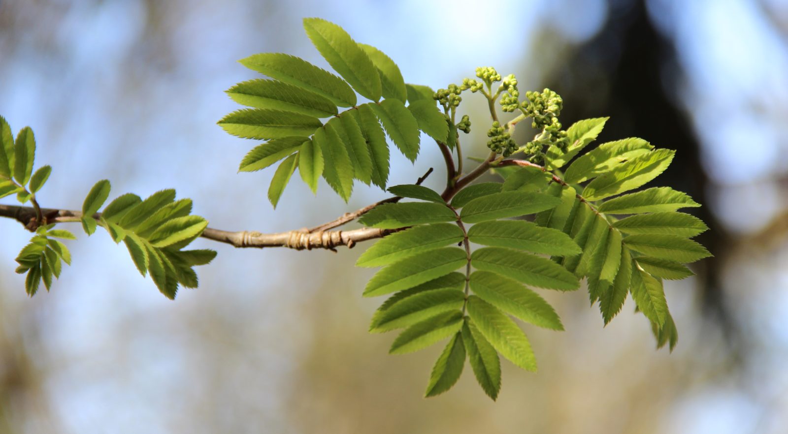 Valokuvaaja: Sinikka Kujala