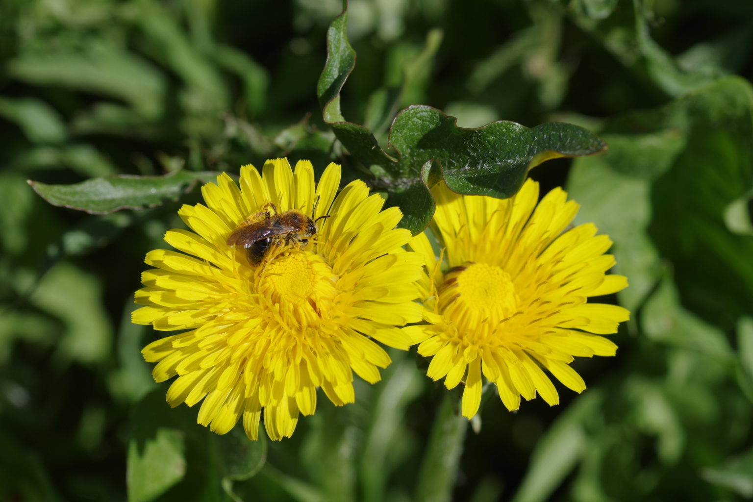 Valokuvaaja: Tuula Makkonen