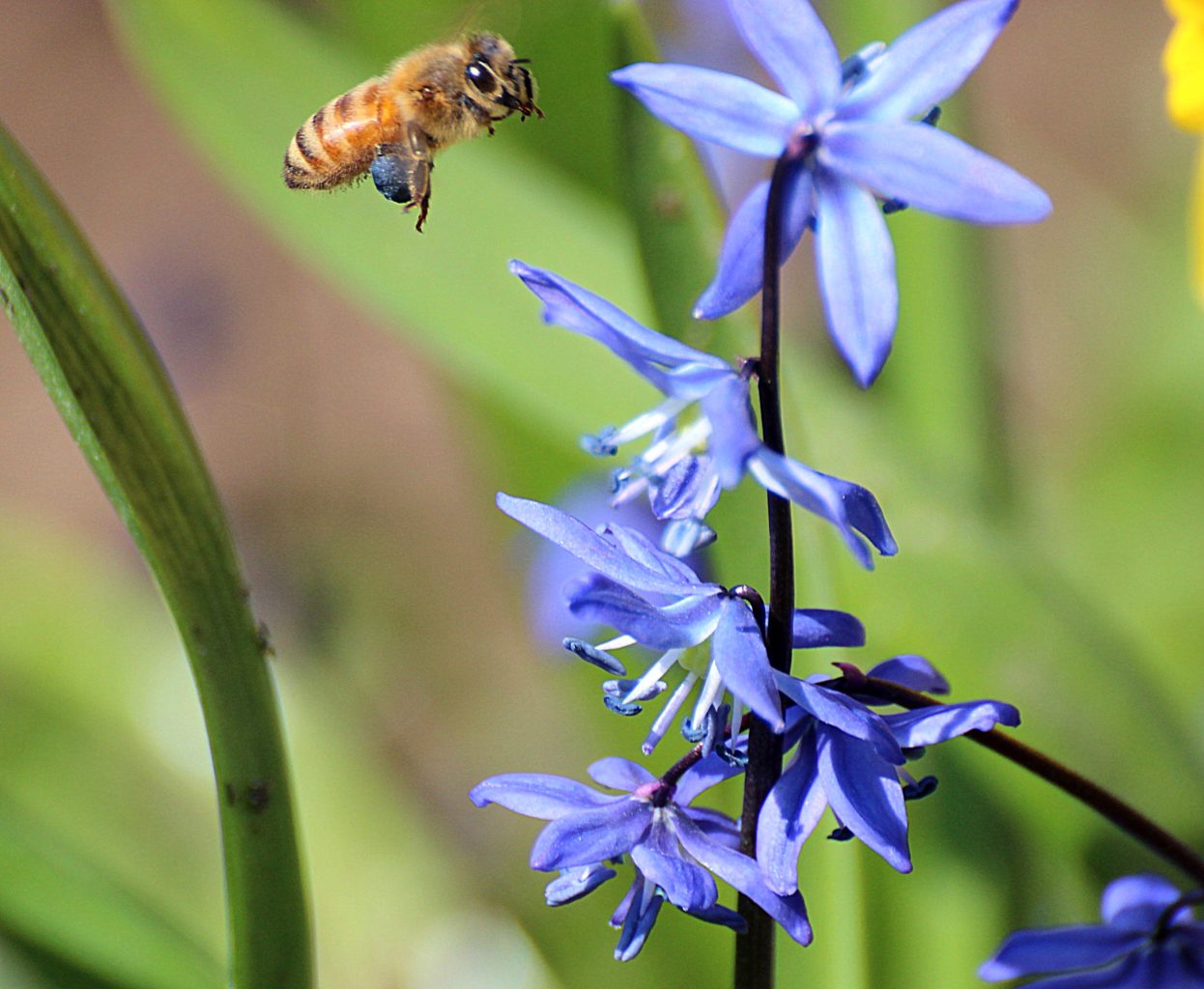 Valokuvaaja: Irja lehtinen