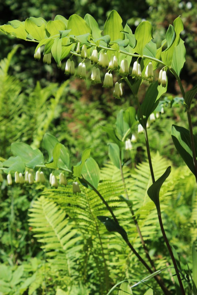 Valokuvaaja: Irja Lehtinen