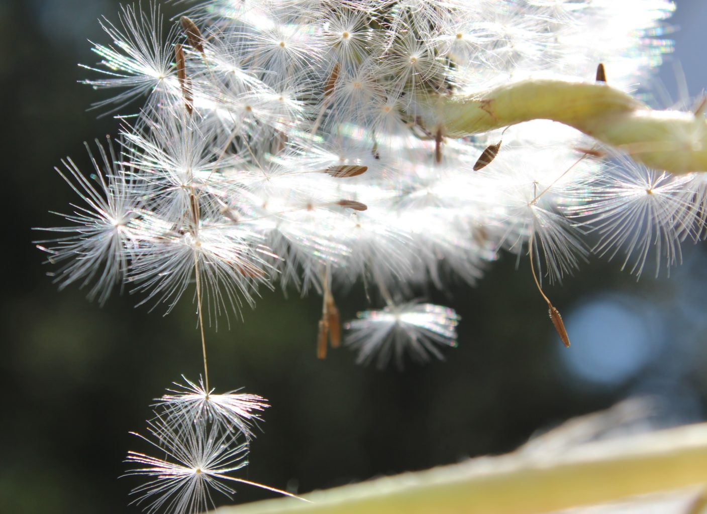 Valokuvaaja: Irja Lehtinen