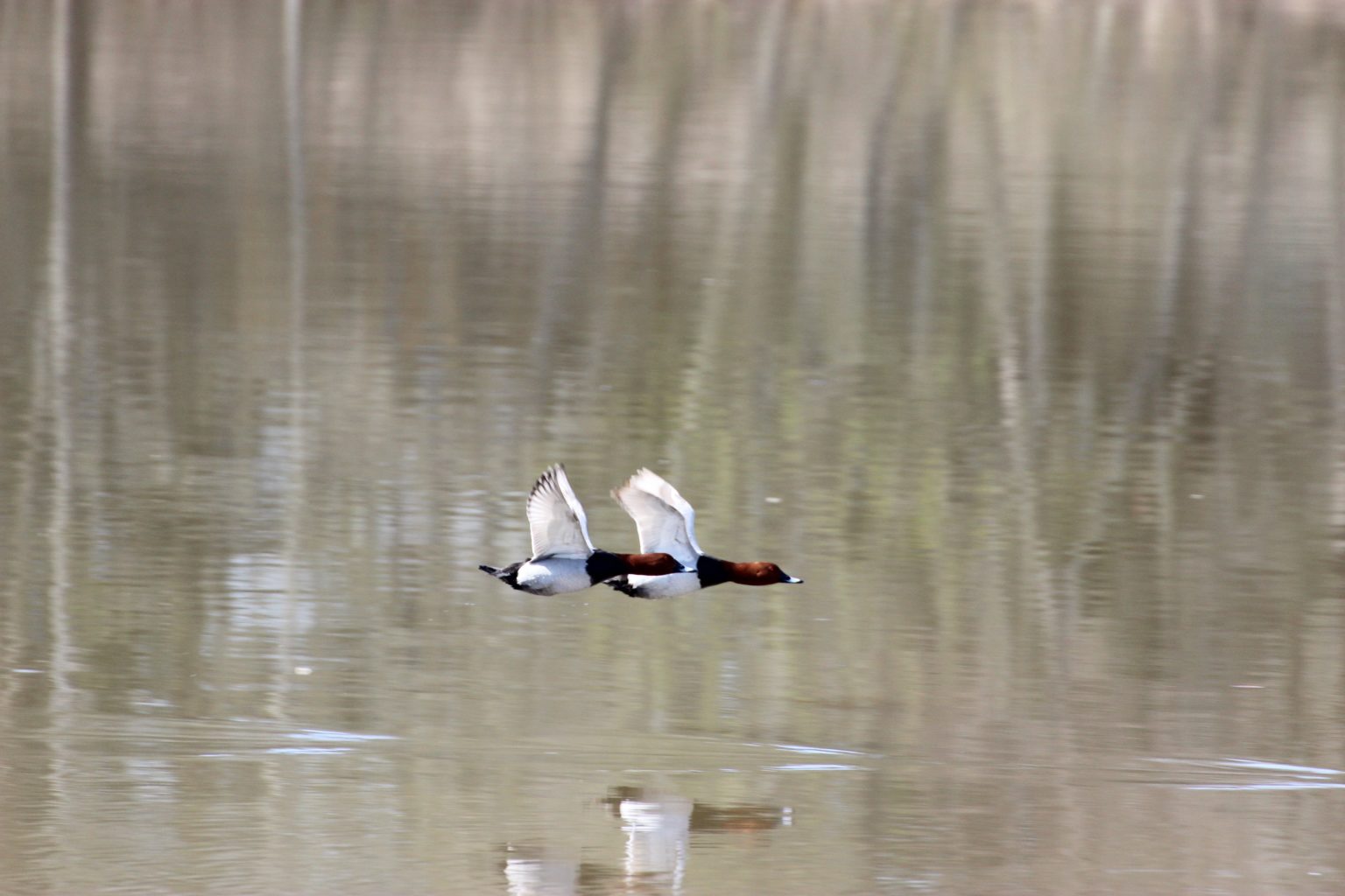 Valokuvaaja: Irja Lehtinen