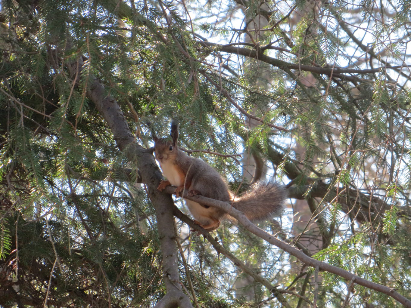 Valokuvaaja: Anni Hella