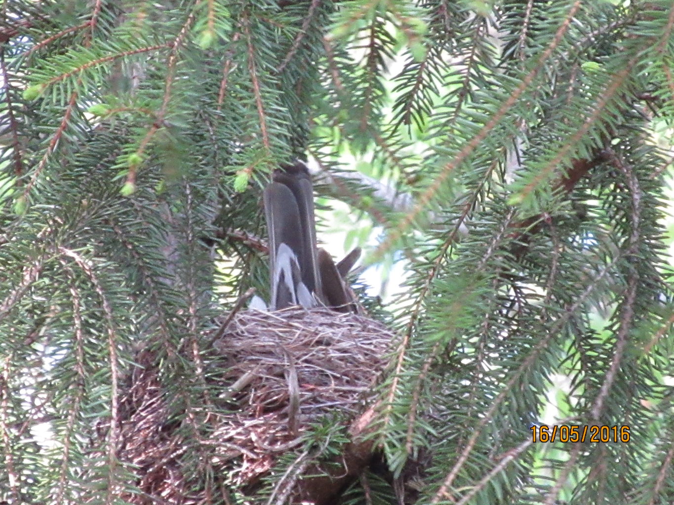 Valokuvaaja: Tuula Makkonen
