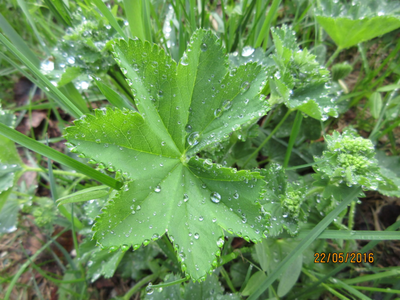 Valokuvaaja: Tuula Makkonen