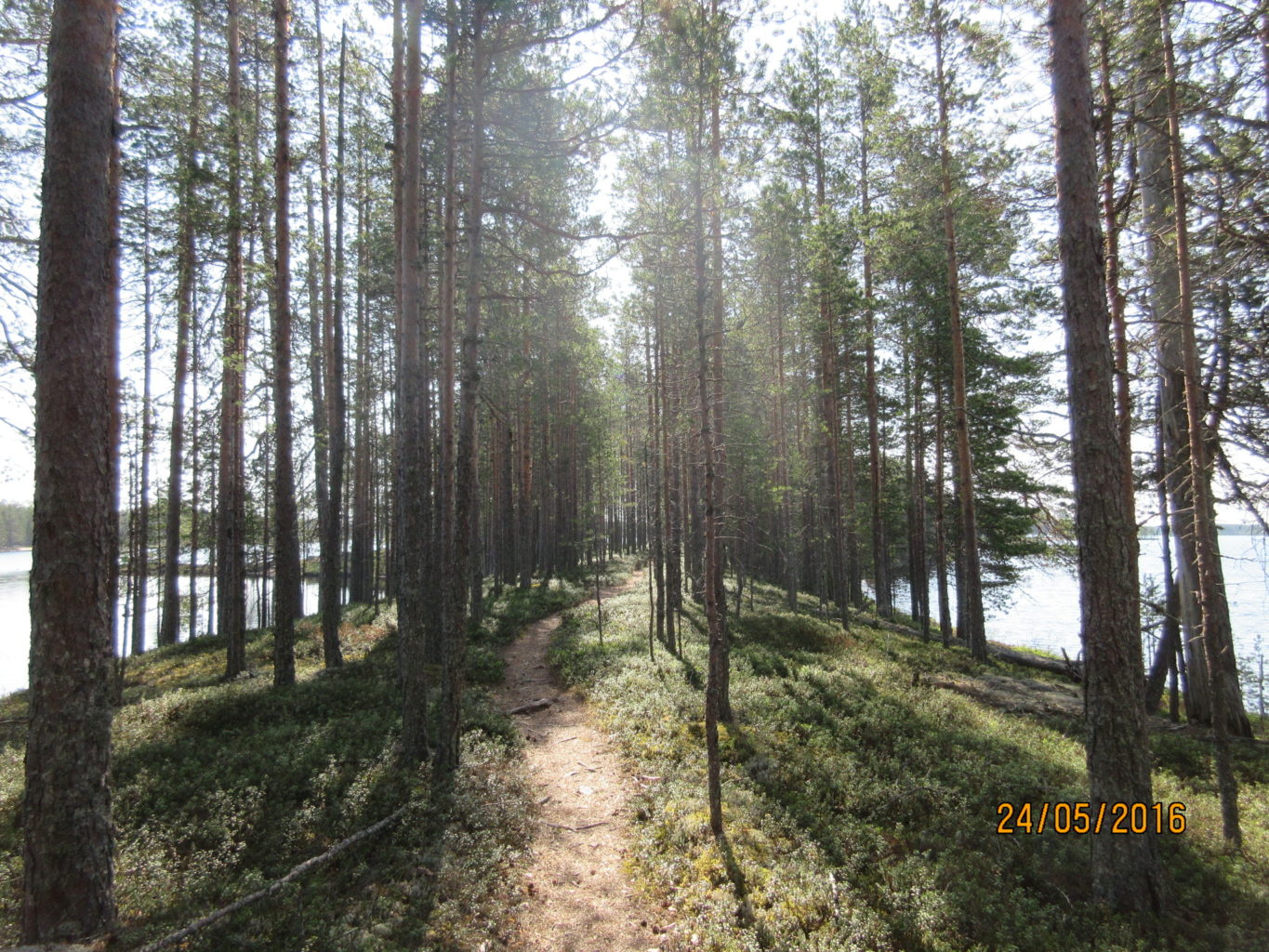 Valokuvaaja: Tuula Makkonen