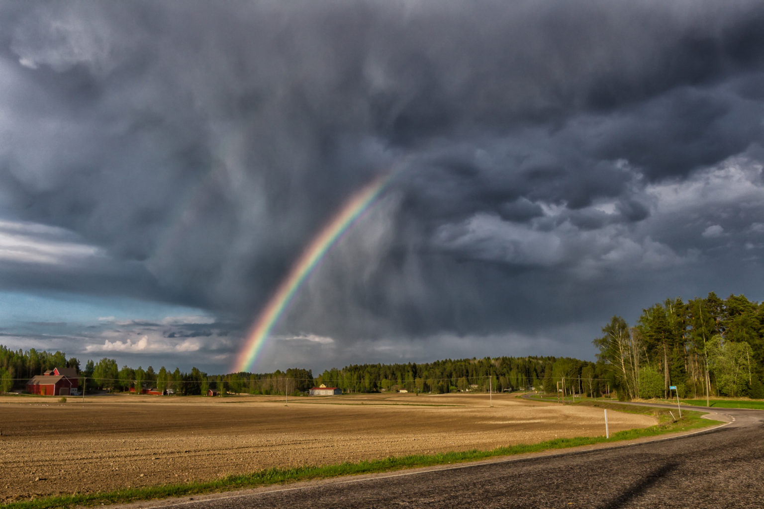 Valokuvaaja: Ossi Saarinen