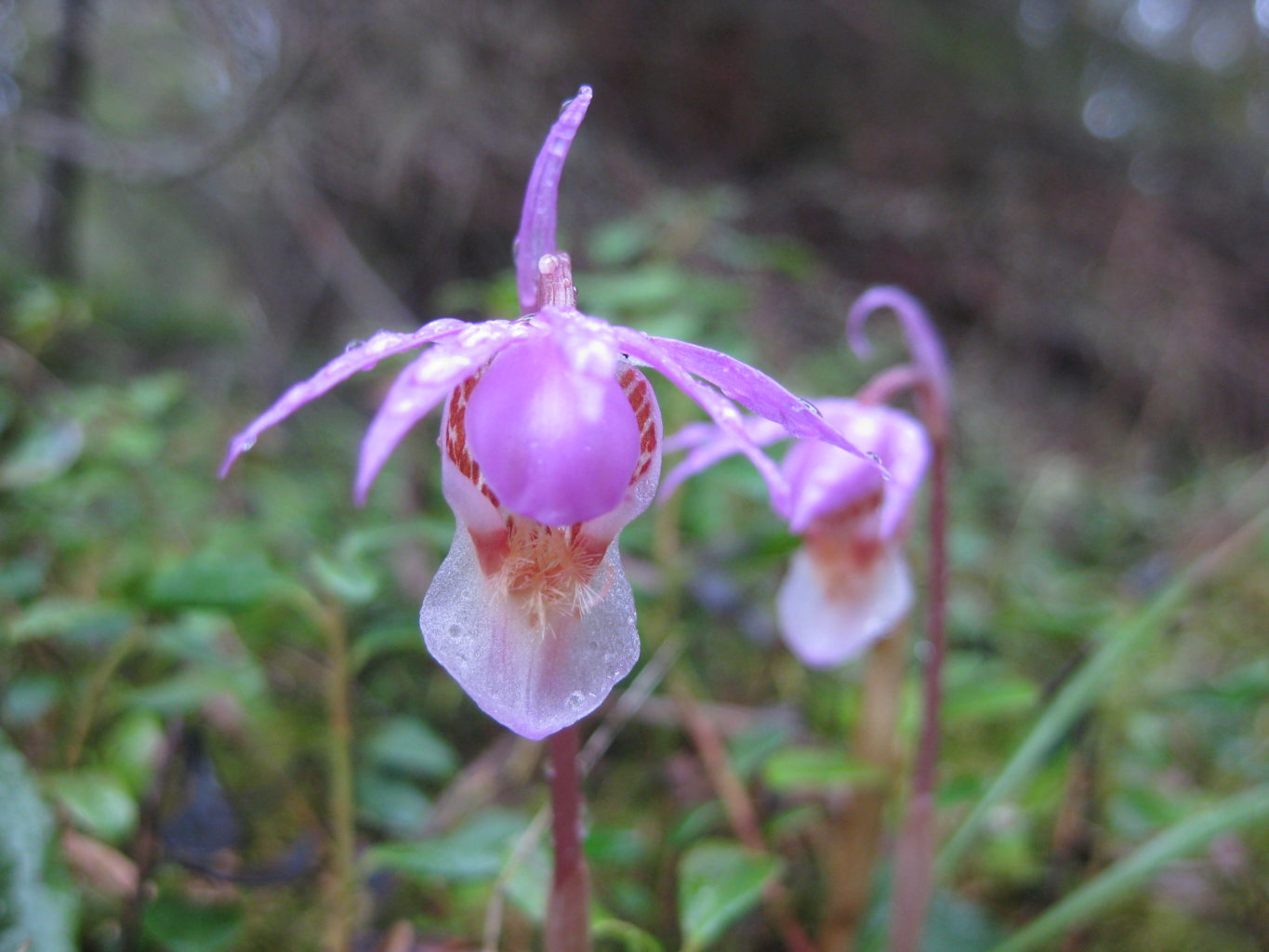 Valokuvaaja: yrjo lukkari