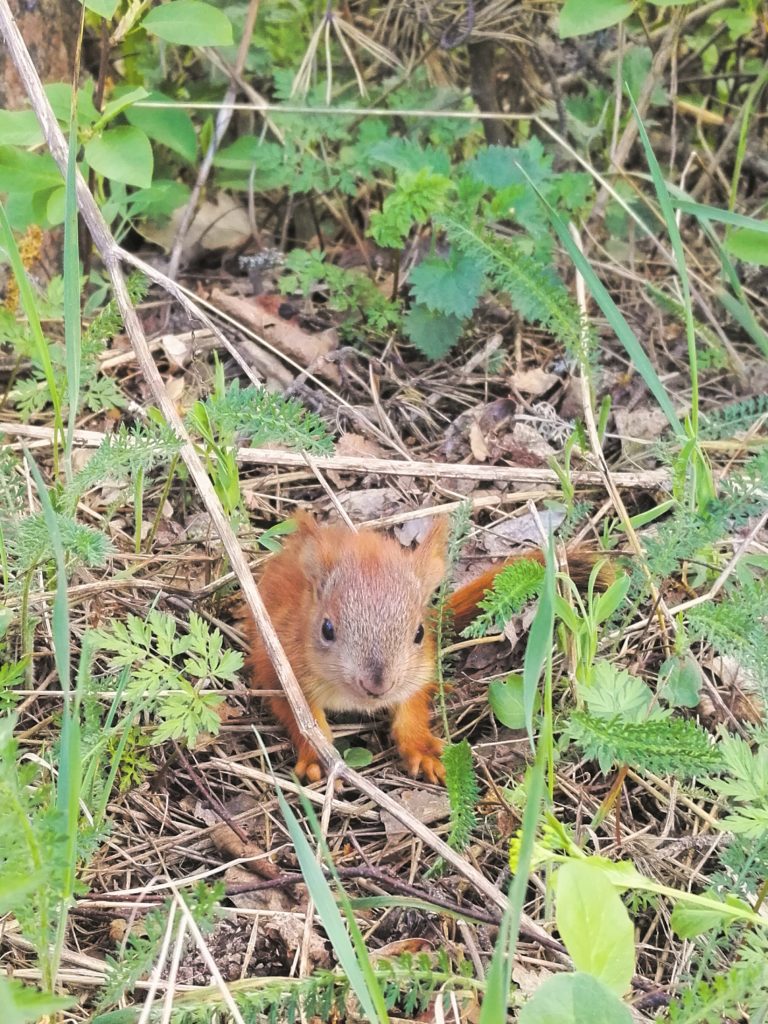 Valokuvaaja: Jenni Kivekäs