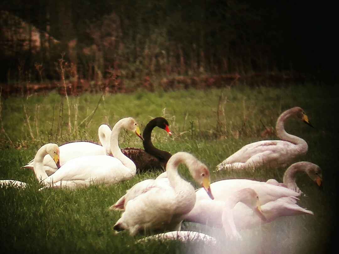 Valokuvaaja: Aleksi Hukka