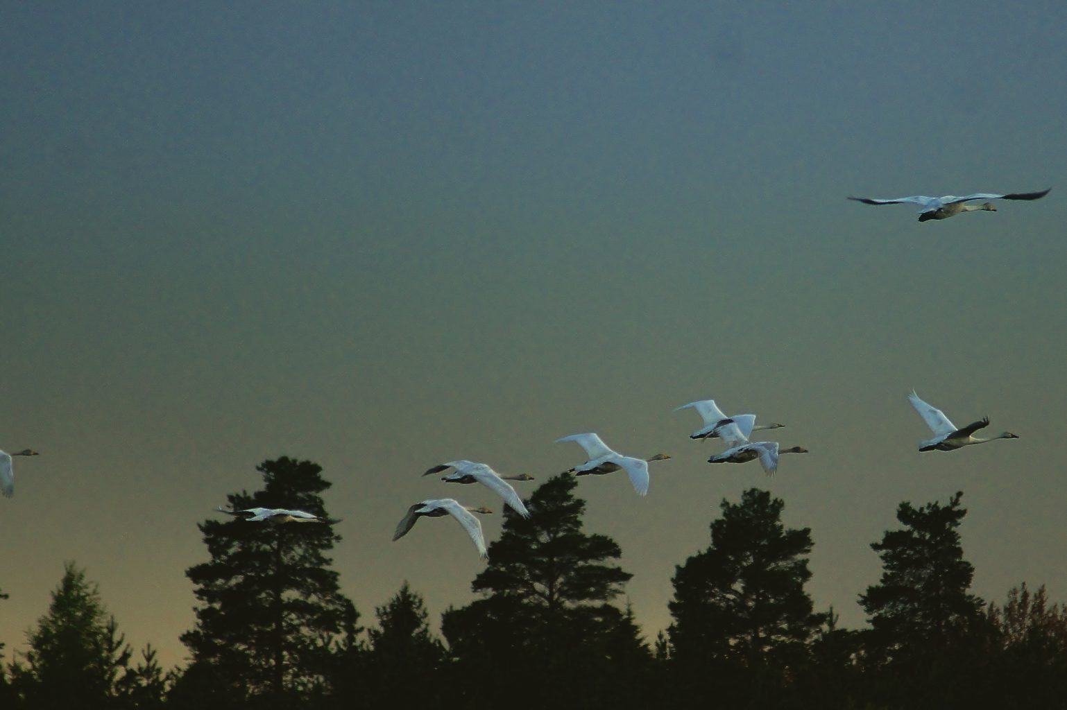 Valokuvaaja: Tuulikki Piikkilä