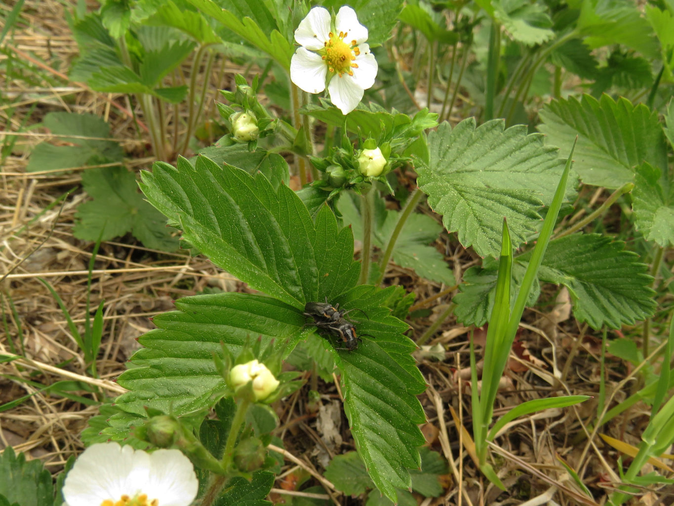 Valokuvaaja: Liisa Johansson