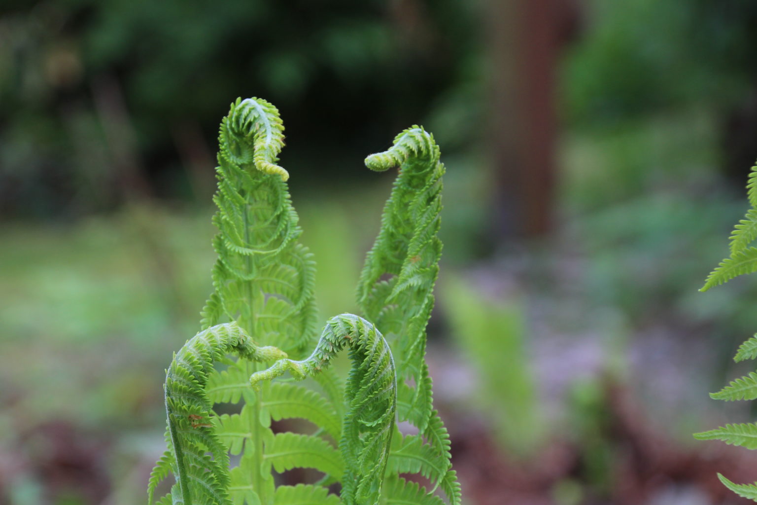 Valokuvaaja: Tiina Laihanen Valokuvaaja: Tiina Laihanen
