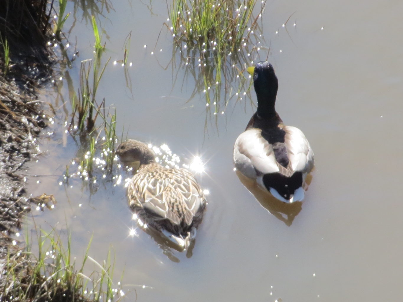 Valokuvaaja: Terttu Rantanen