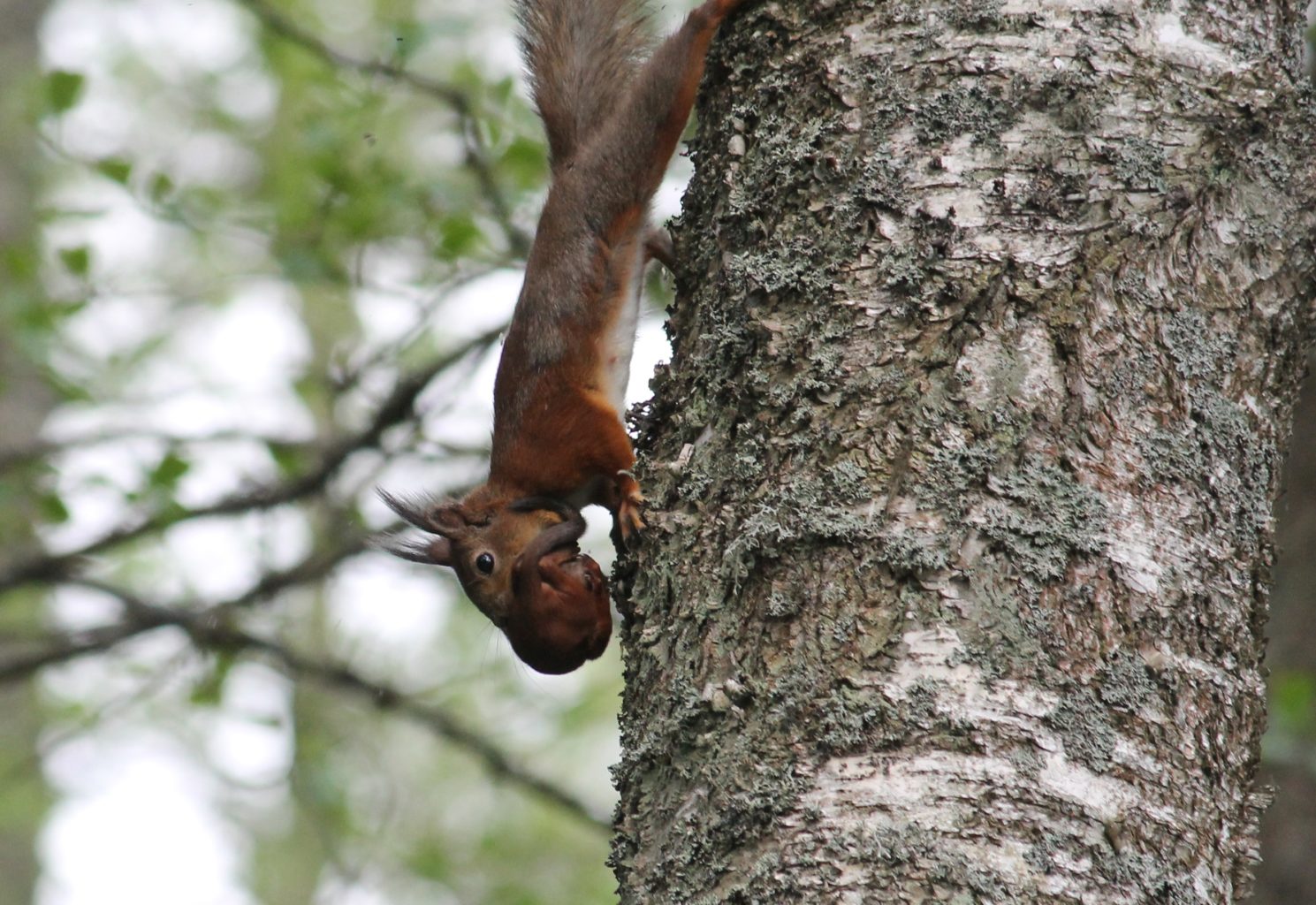 Valokuvaaja: Riitta Marjamäki