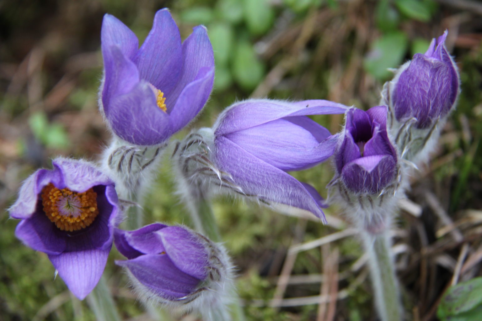 Valokuvaaja: Pirjo Kallio