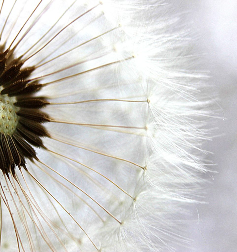 Valokuvaaja: Irja Lehtinen