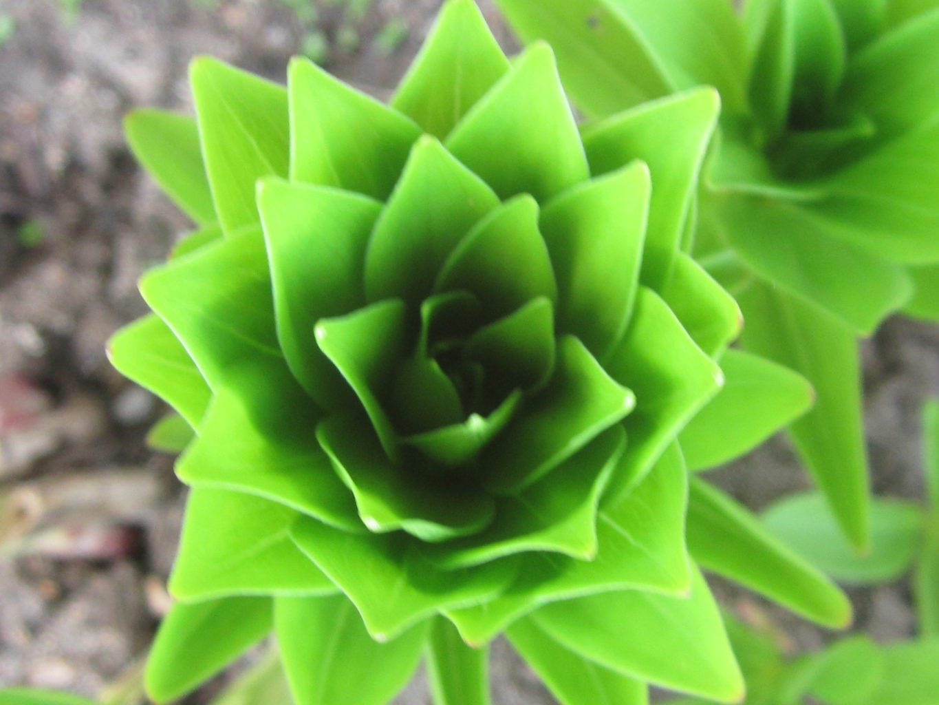 Valokuvaaja: PirkkoLiisa Hautamäki Valokuvaaja: PirkkoLiisa Hautamäki