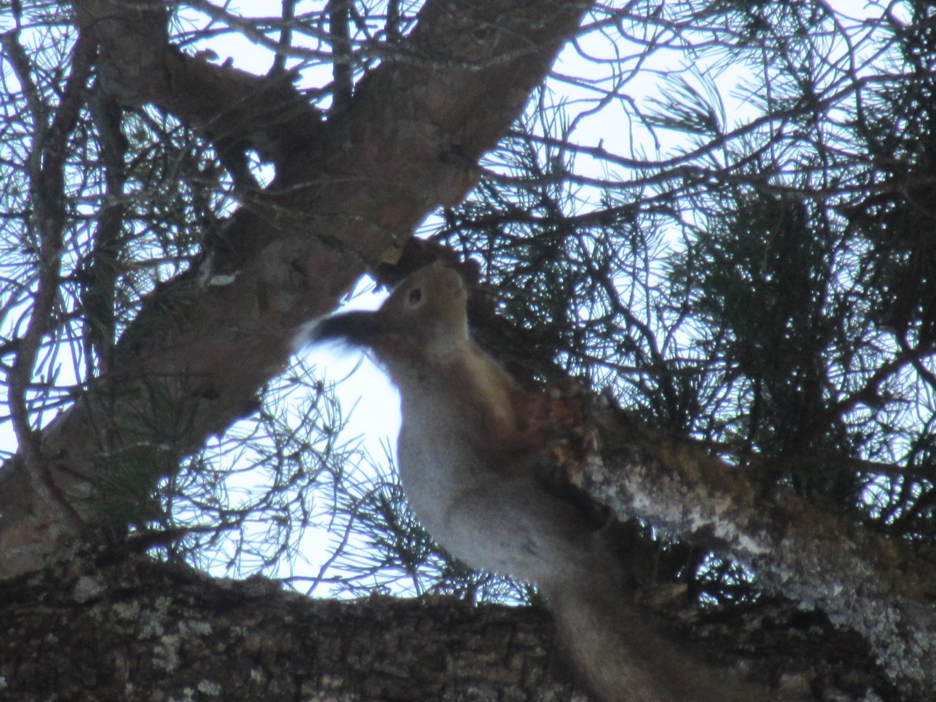 Valokuvaaja: Hanna Ronkainen