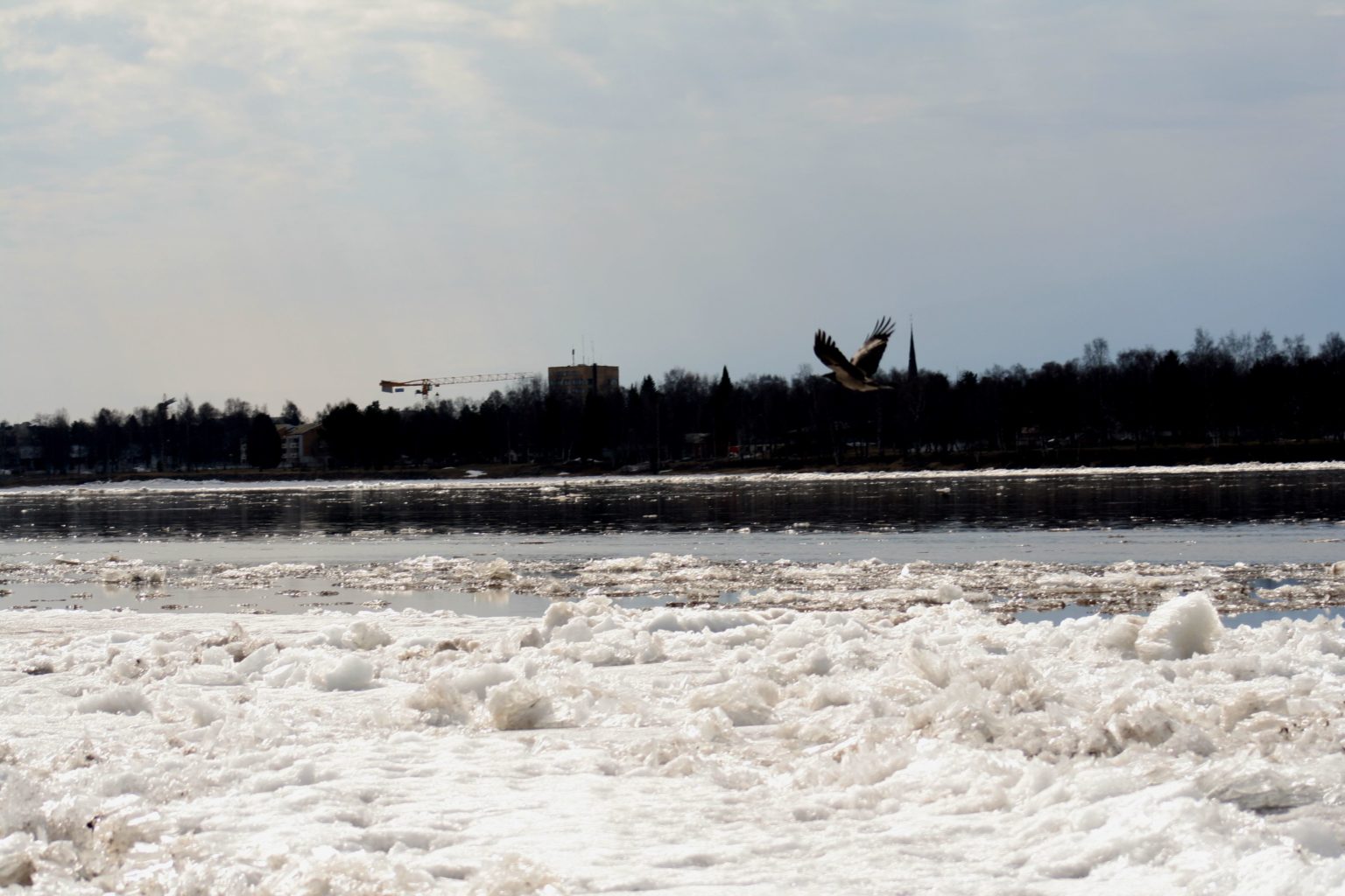 Valokuvaaja: Pirkko Siukonen