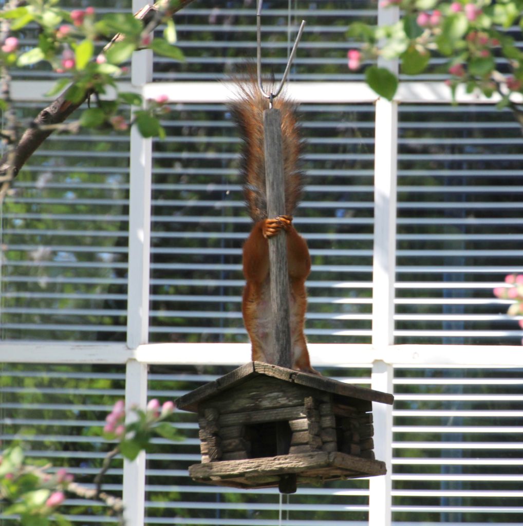 Valokuvaaja: Irja lehtinen