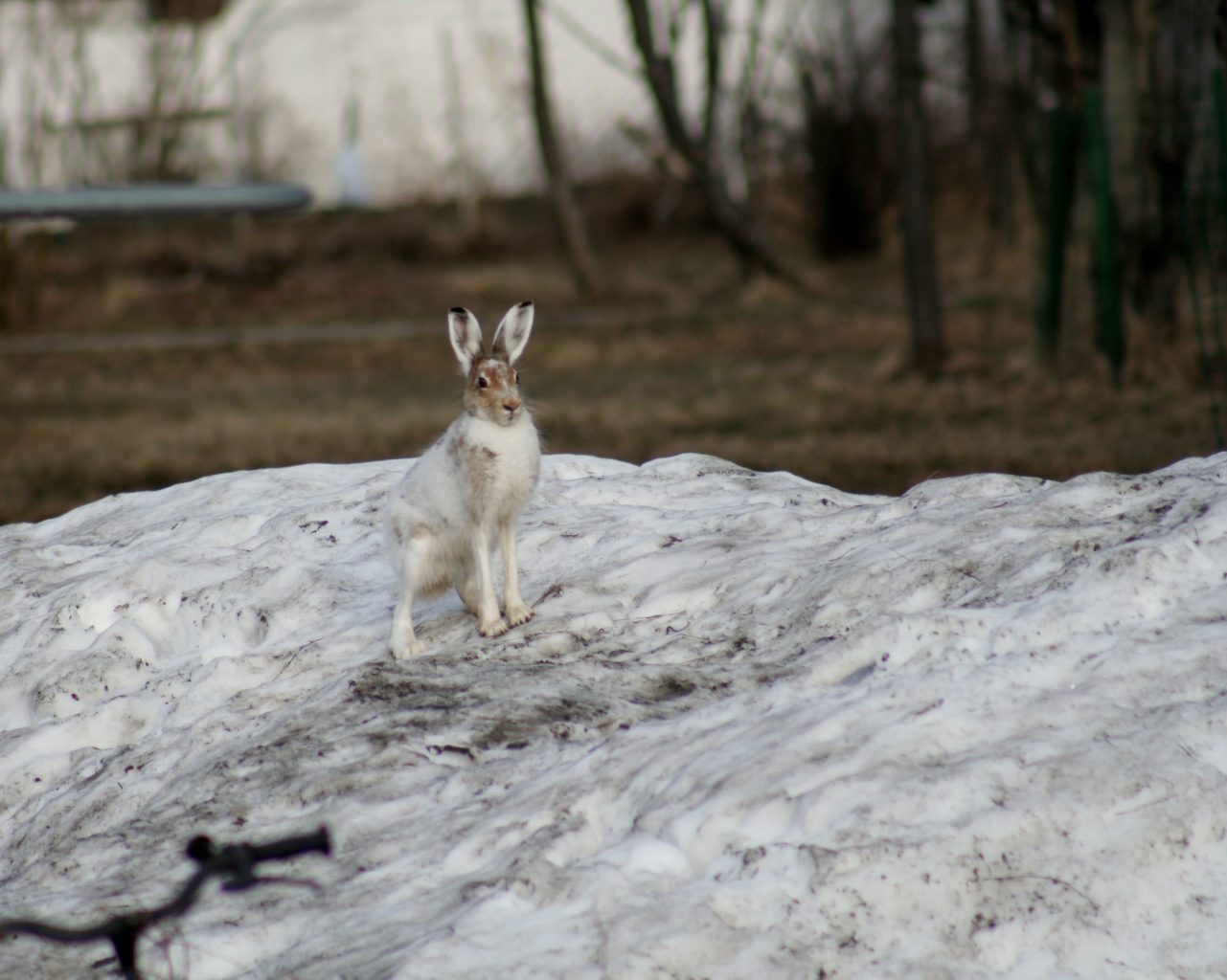 Valokuvaaja: Pirkko Siukonen