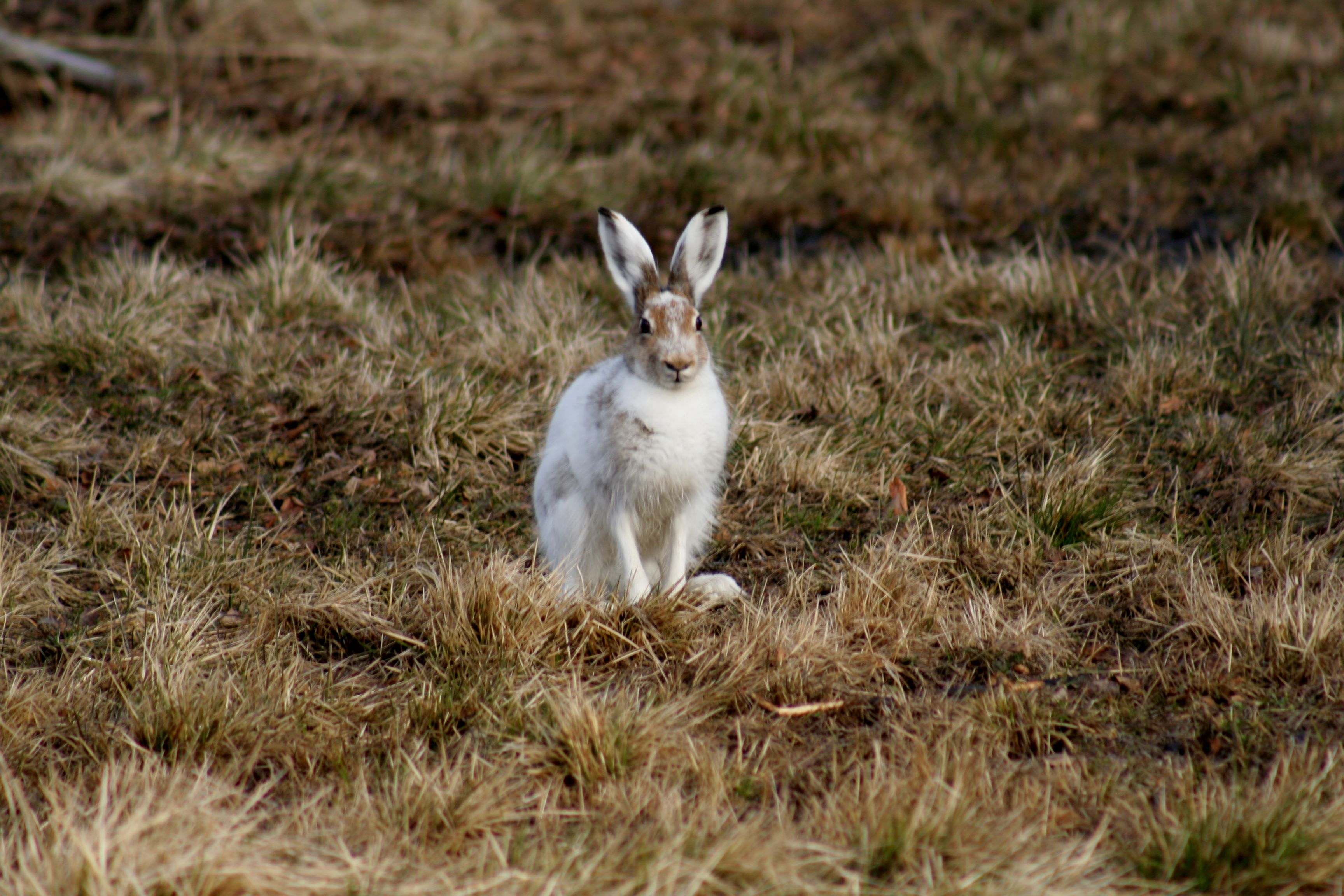 Valokuvaaja: Pirkko Siukonen