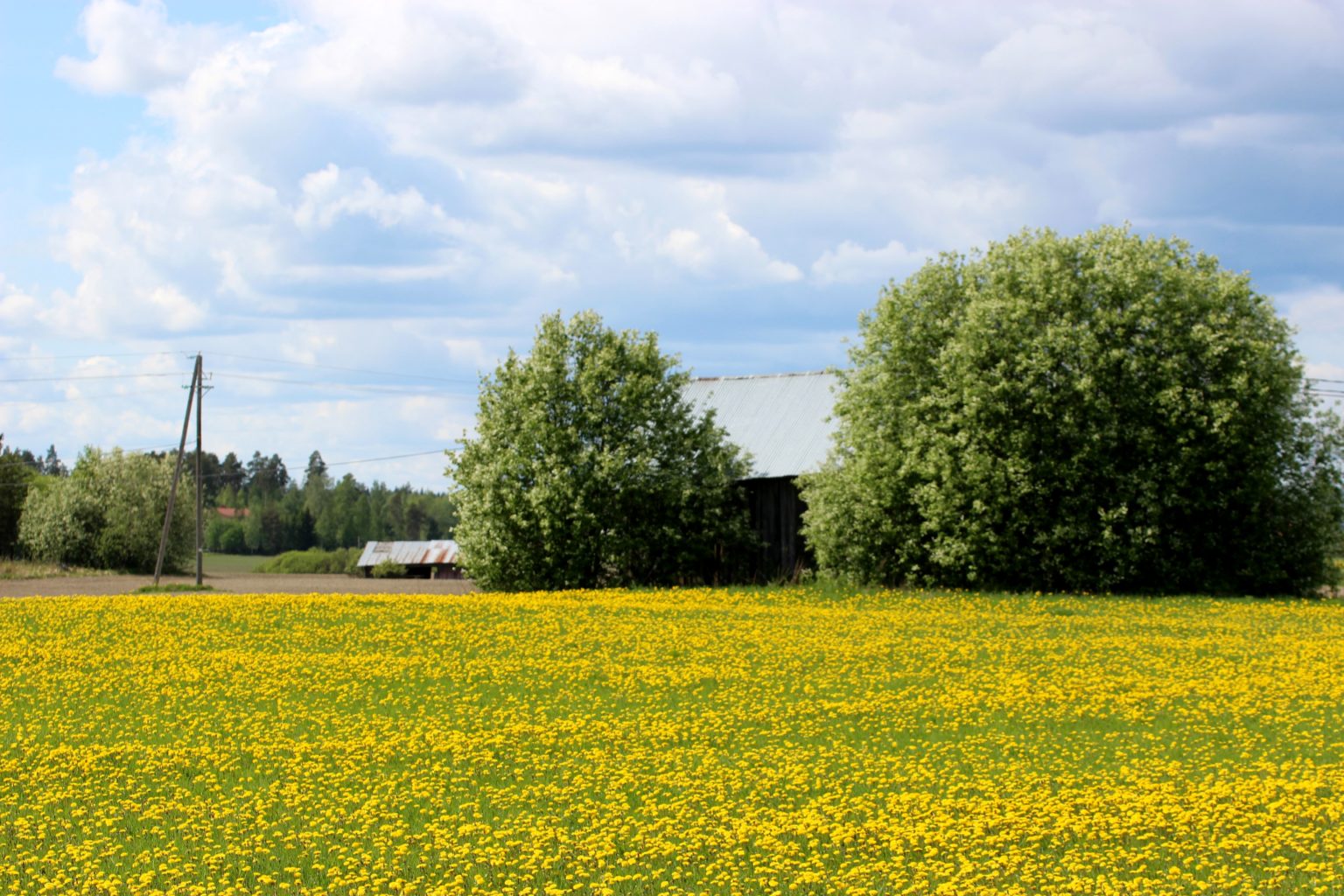 Valokuvaaja: Irja lehtinen Valokuvaaja: Irja lehtinen