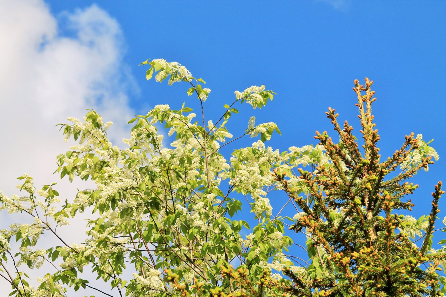 Valokuvaaja: PirkkoLiisa Hautamäki
