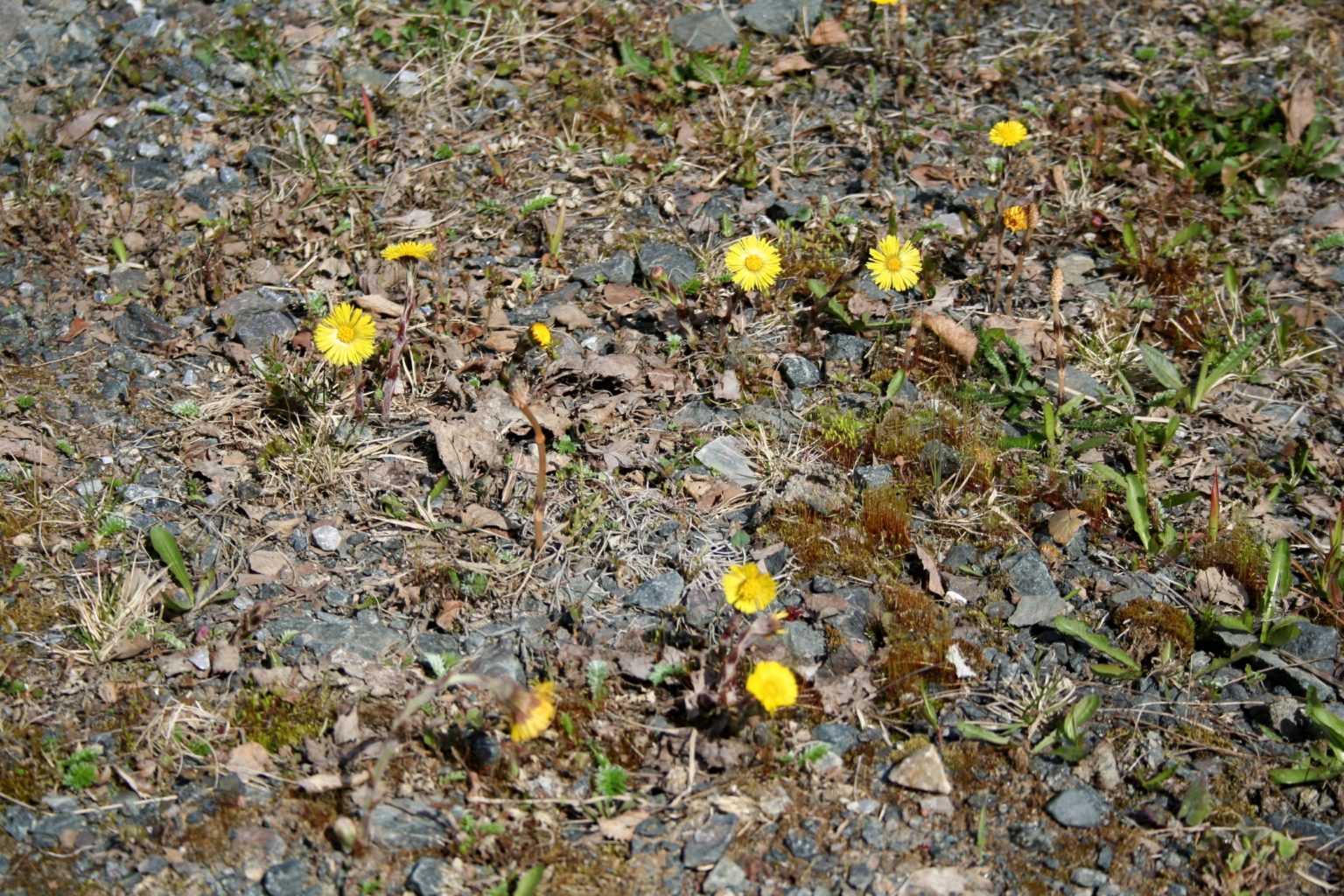 Valokuvaaja: Pirkko Siukonen