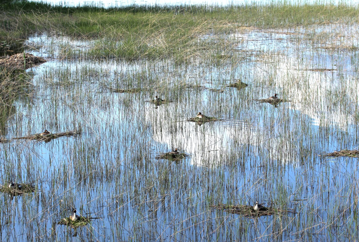Valokuvaaja: Irja lehtinen