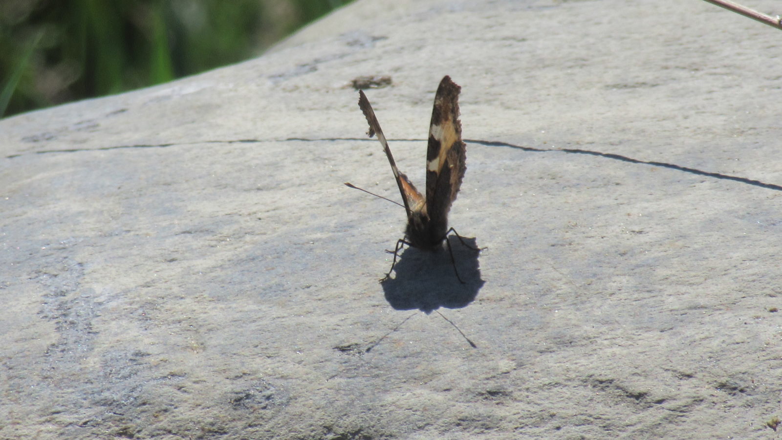 Valokuvaaja: Hanna Ronkainen