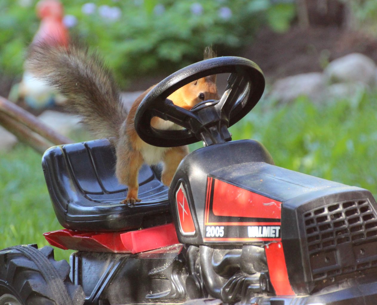 Valokuvaaja: Irja Lehtinen