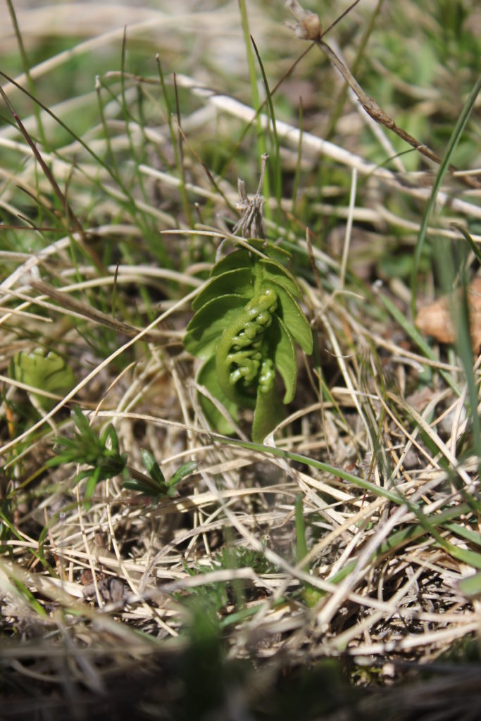 Valokuvaaja: Elina Nieminen