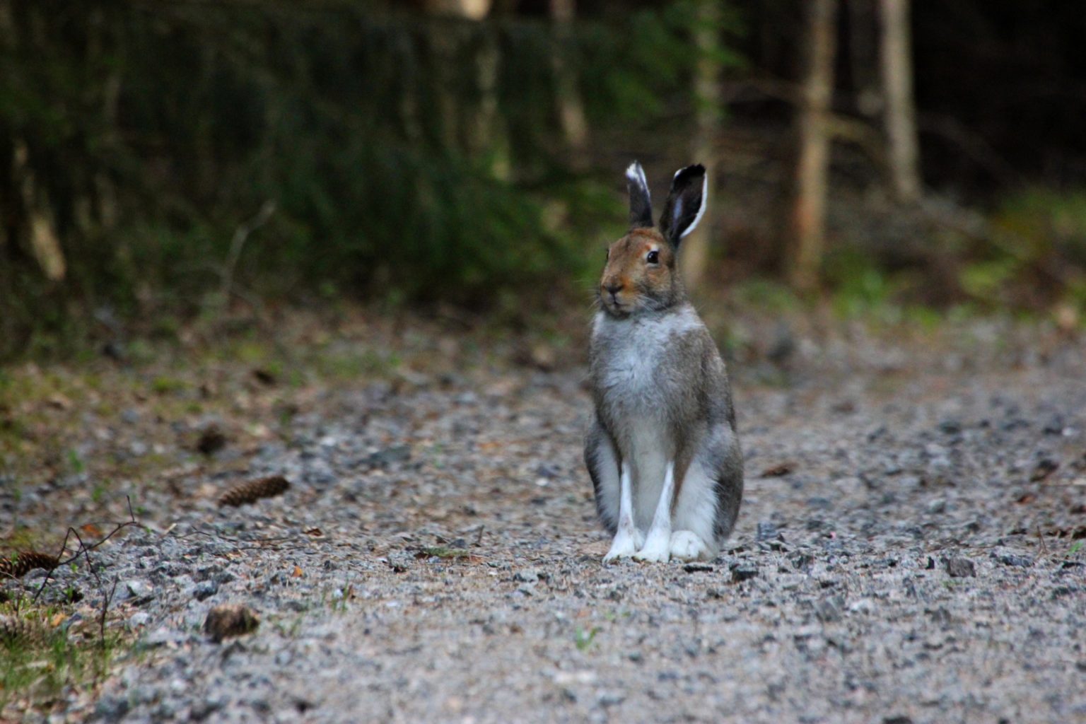 Valokuvaaja: Elina Nieminen Valokuvaaja: Elina Nieminen