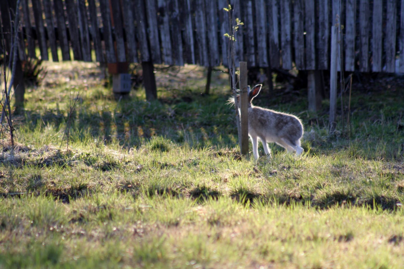 Valokuvaaja: Pirkko Siukonen