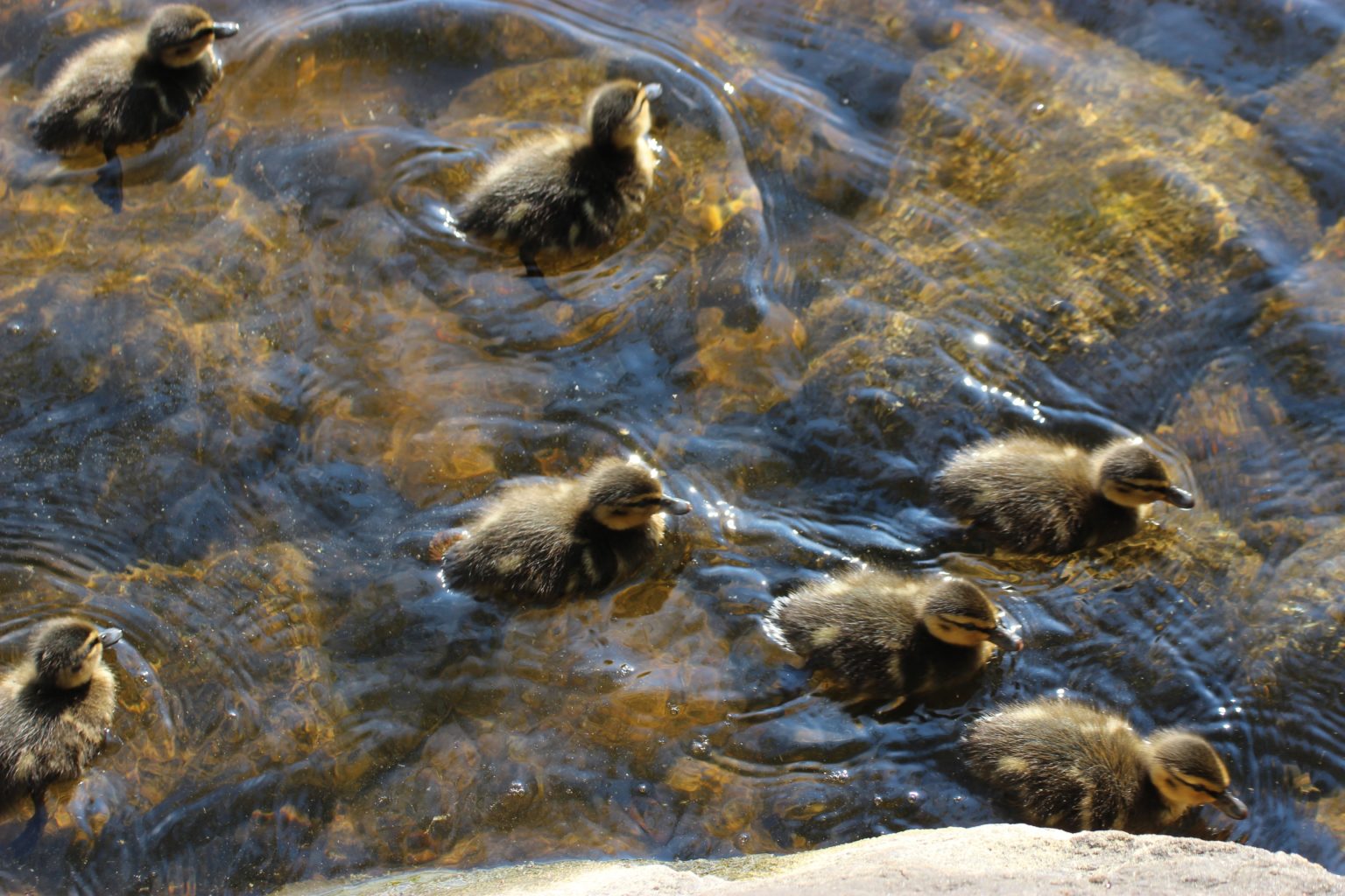 Valokuvaaja: Irja lehtinen