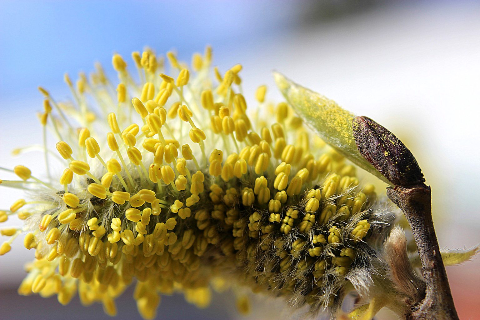 Valokuvaaja: Irja Lehtinen