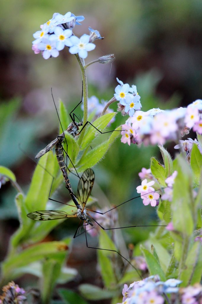 Valokuvaaja: Tuulikki Piikkilä