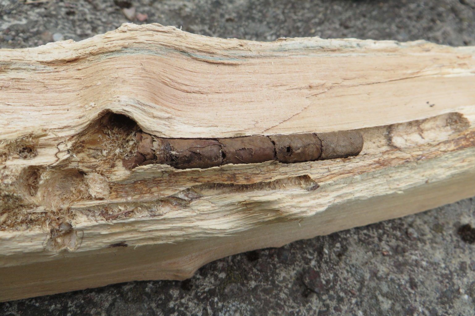 Valokuvaaja: Pekka Kaakinen