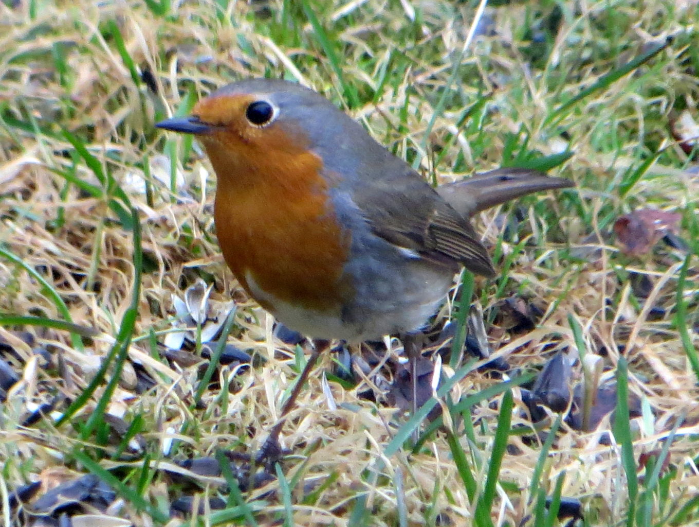Valokuvaaja: Sirkka Ruotoistenmäki
