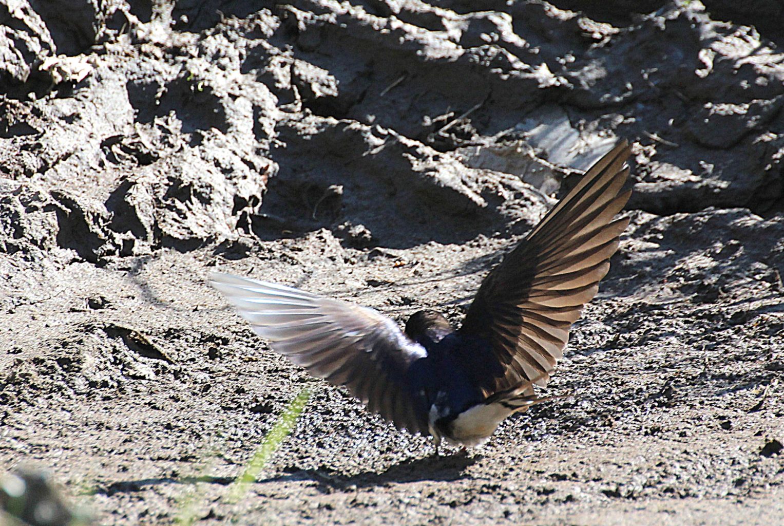 Valokuvaaja: Irja Lehtinen