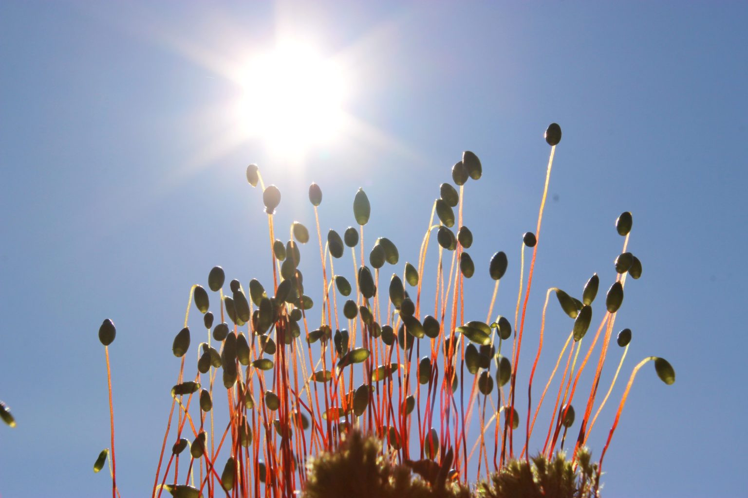 Valokuvaaja: Irja Lehtinen