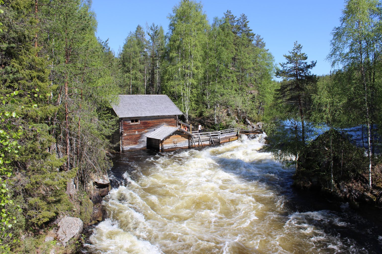 Valokuvaaja: Irja Lehtinen