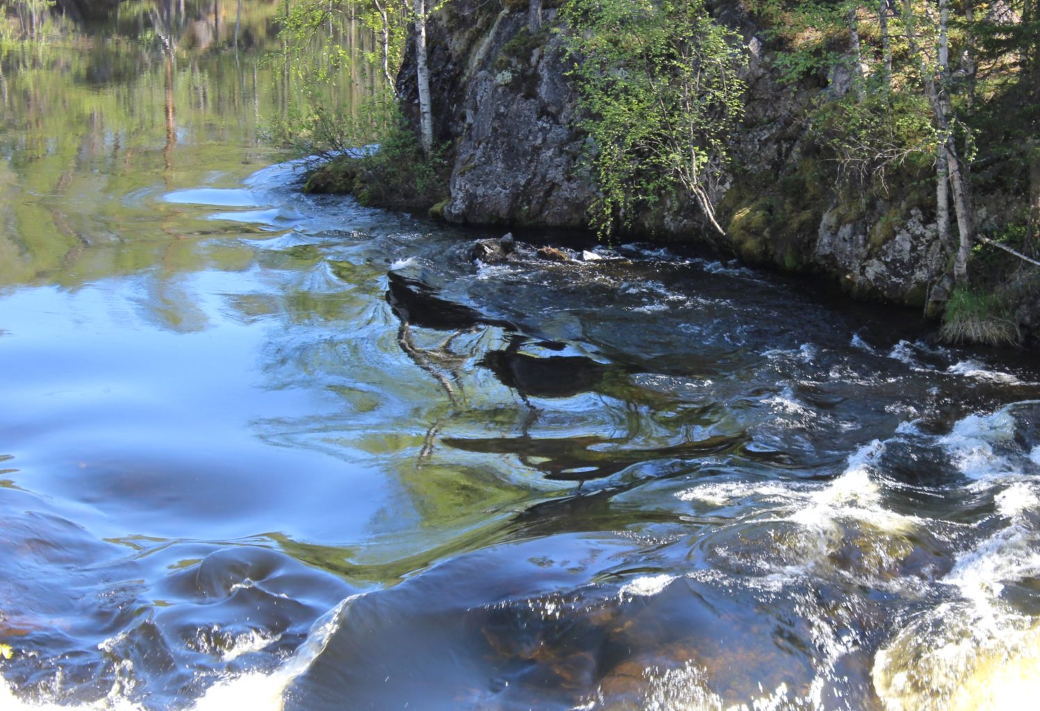 Valokuvaaja: Irja Lehtinen