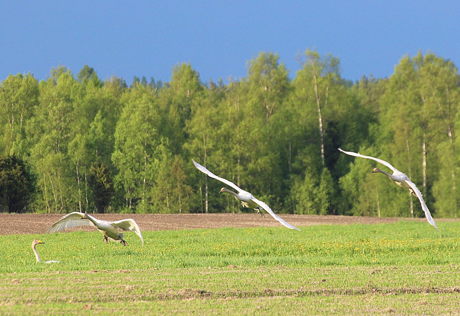 Valokuvaaja: Irja lehtinen